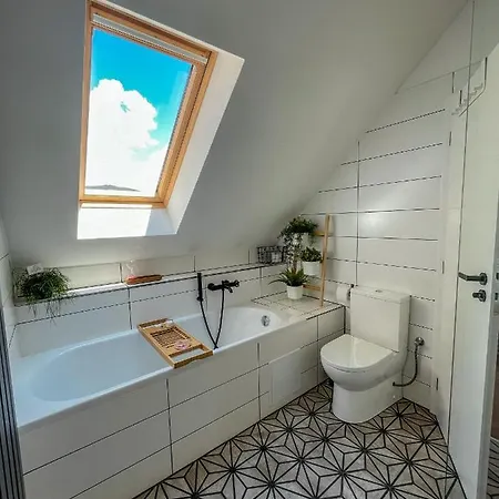 Loft Vpodhuri Krusnych Hor S Terasou A Virivkou Ostrov (Karlovy Vary)